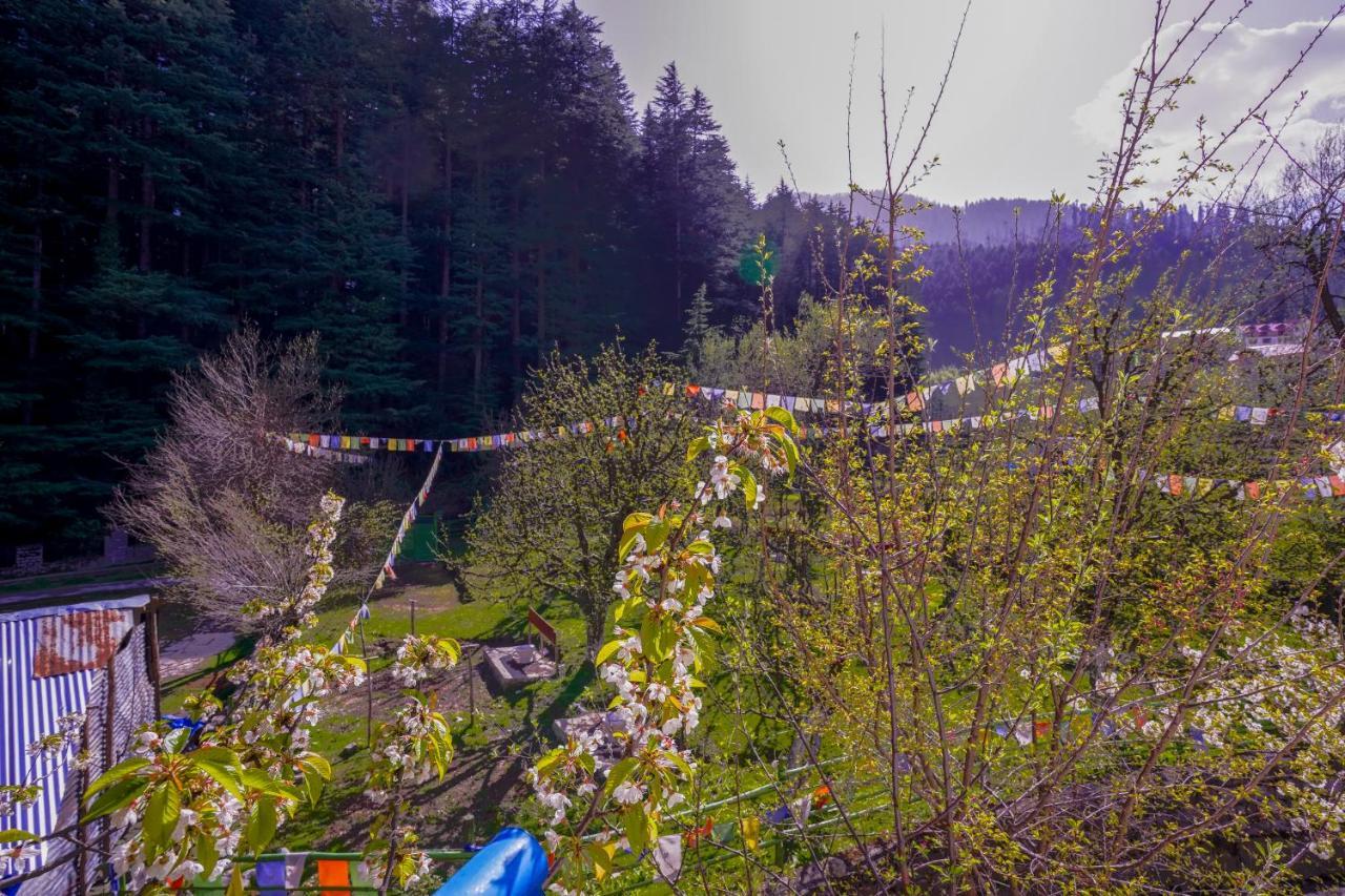 Rama'S Green Forest 마날리 외부 사진